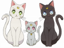 Moon_Cats_High-Res.png