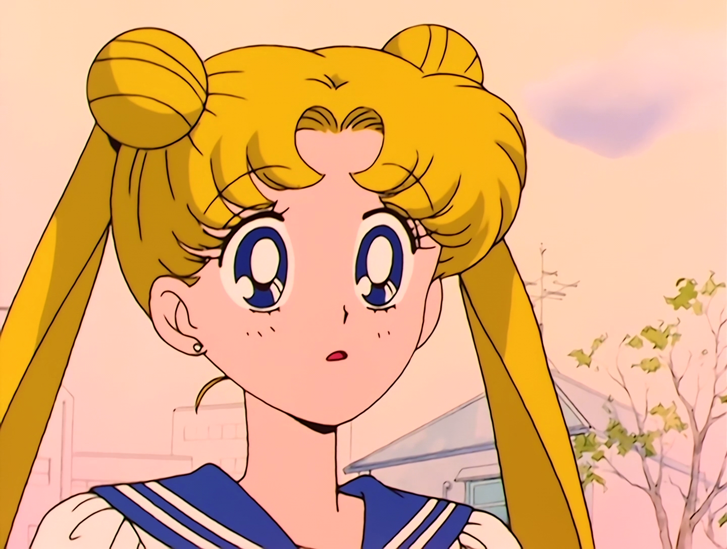 Sailor Moon Episode 037 - SailorSoapbox.com