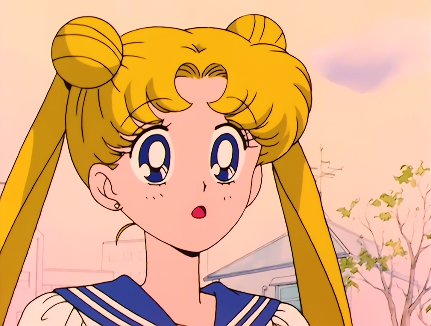 Sailor Moon Episode 037 - SailorSoapbox.com